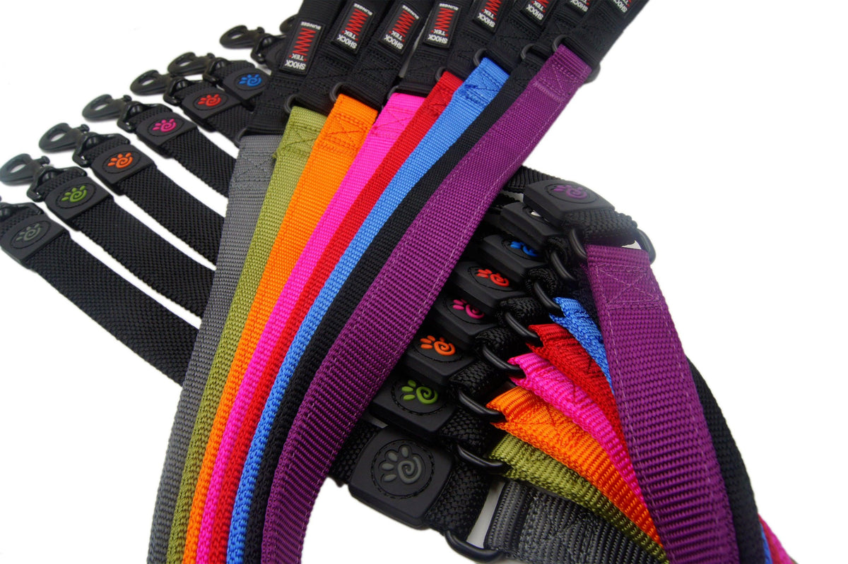 DOCO® 4ft Shock Absorbing BUNGEE Nylon Dog Leash.