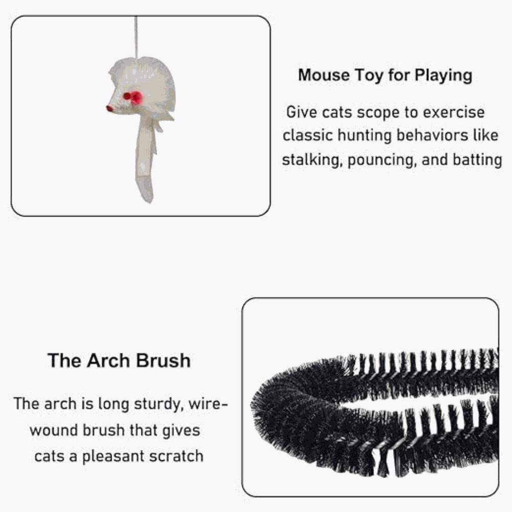 Cat toy with text describing its use and features
