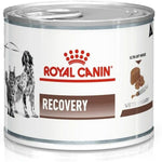 Can of Royal Canin Recovery pet food on a white background