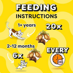 Feeding instructions for a pet product on a yellow background with cartoon illustrations of a cat and dog.