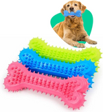 Three colorful bone-shaped dog toys with a dog holding a blue toy in the corner.