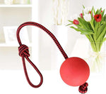 PawZilla Ball Toy With Rope.