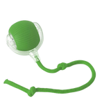 Green dog toy with a rope on a white background