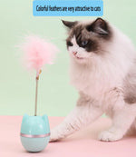 Cartoon Cat Head Tumbler Toy.