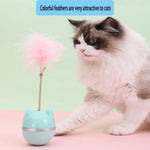 Cartoon Cat Head Tumbler Toy.