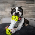 CoolCat Dumbbell Puzzle Dog Toy