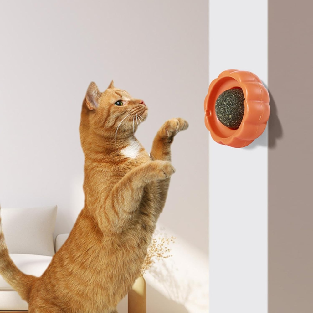 Cat playing with a wall-mounted orange cat toy