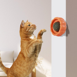 Pumpkin Catnip Ball Toy