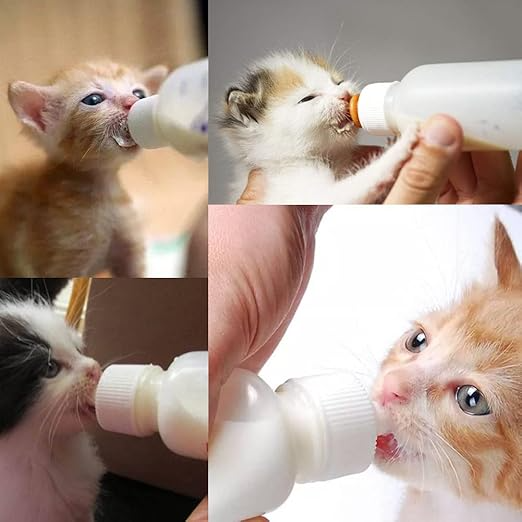 Bioline Pet Care Kit