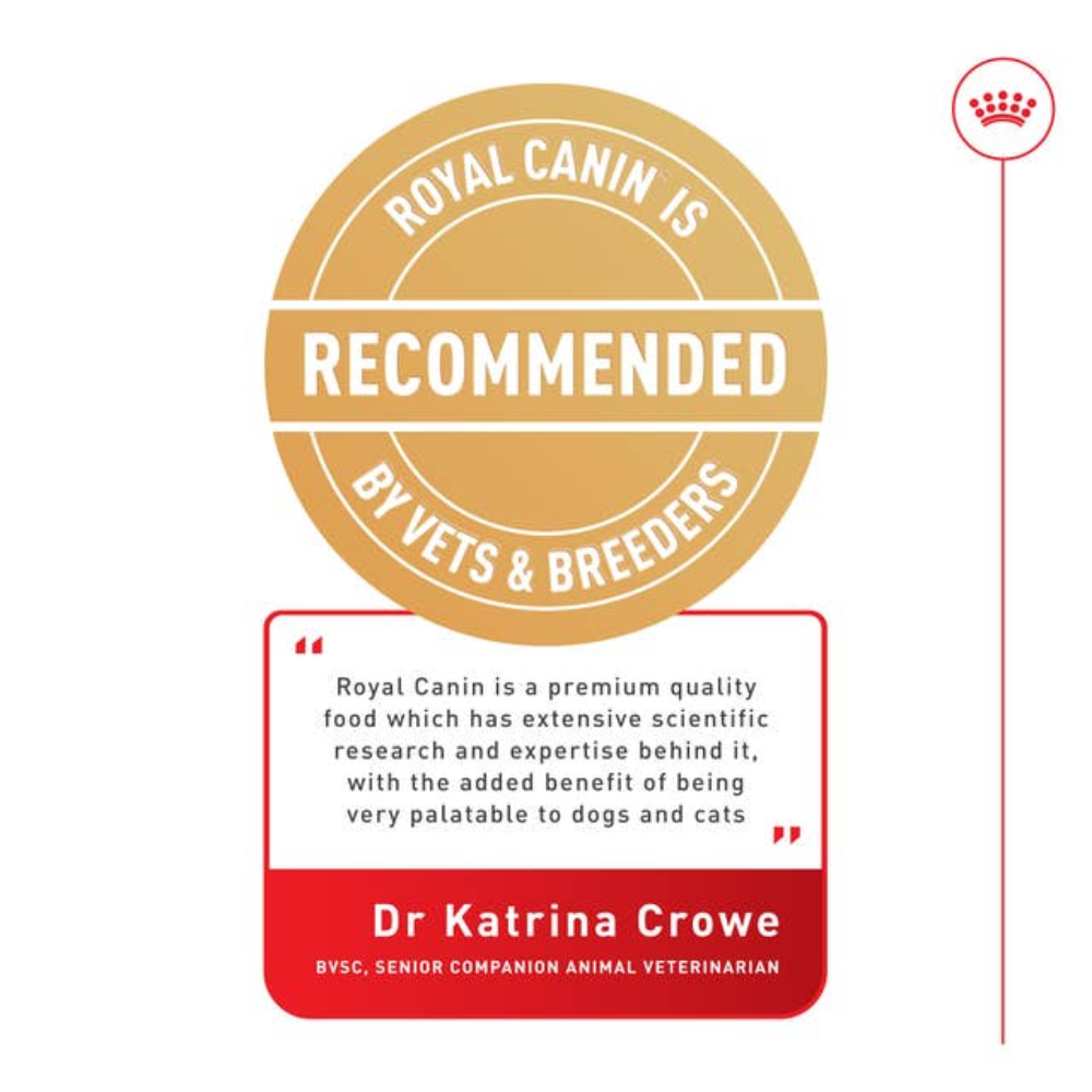 Royal Canin Dog Digestive Care Loaf Pouch 85g Petfast.shop Royal Canin Dog Food Wet Food petfast.shop EgyptDefault Title 0.00