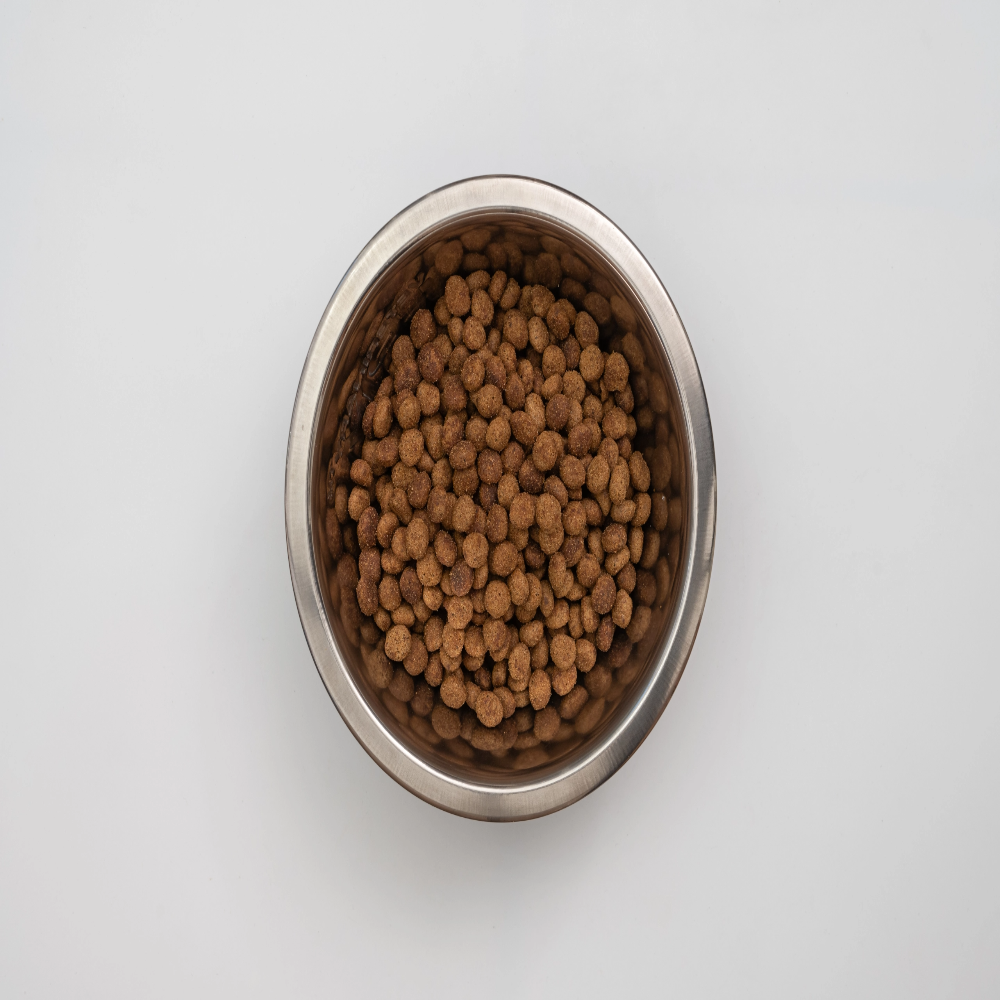 Virbac Cat Digestive Support 1.5Kg Petfast.shop Virbac Cat Diabetic Support Dry Food Food Prescription Food petfast.shop Egypt PVI6895S Default Title 2020.00