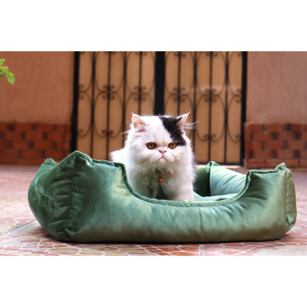 Petmoda Velvet Bed Large 70*55 - light green.