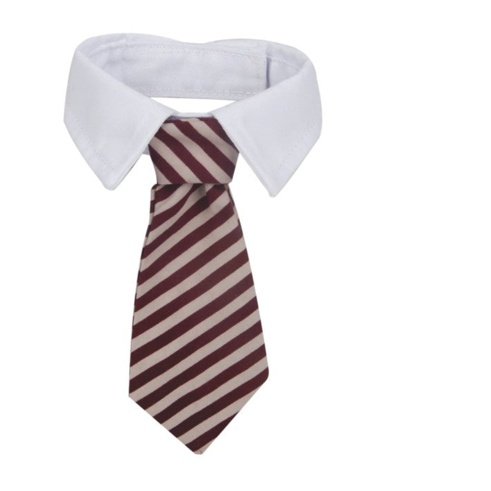 Naomi Pet Tie.