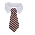 Naomi Pet Tie.
