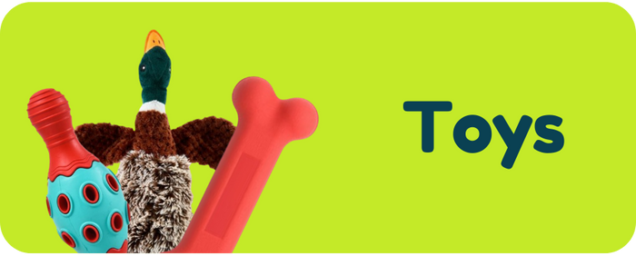 Colorful dog toys with a green label indicating 'Toys' on a white background