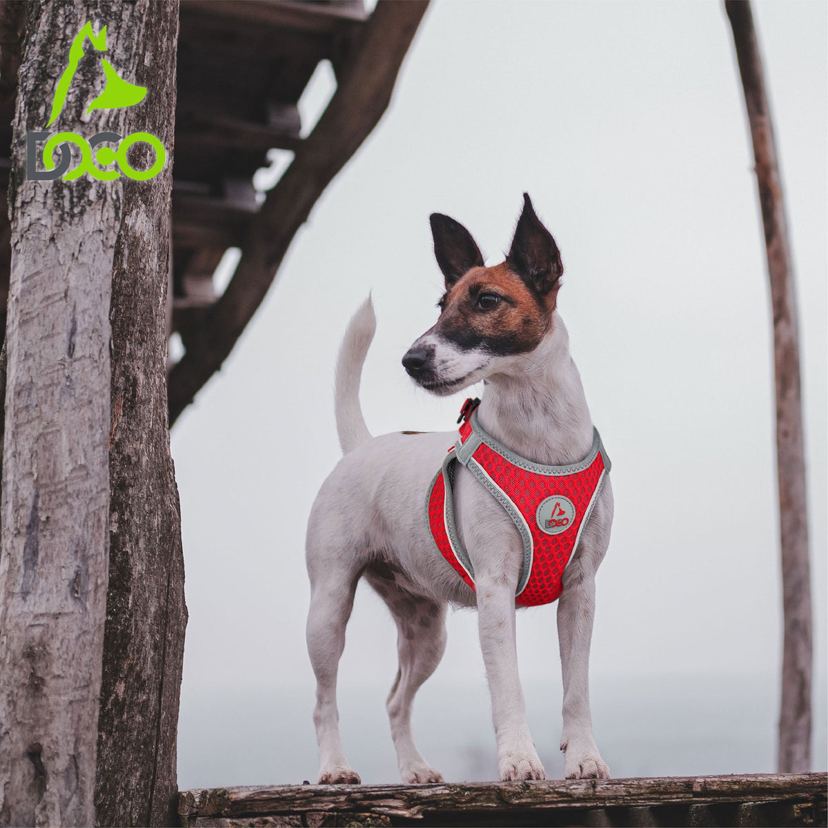 DOCO® Athletica Net mesh QUICK FIT Dog Harness.