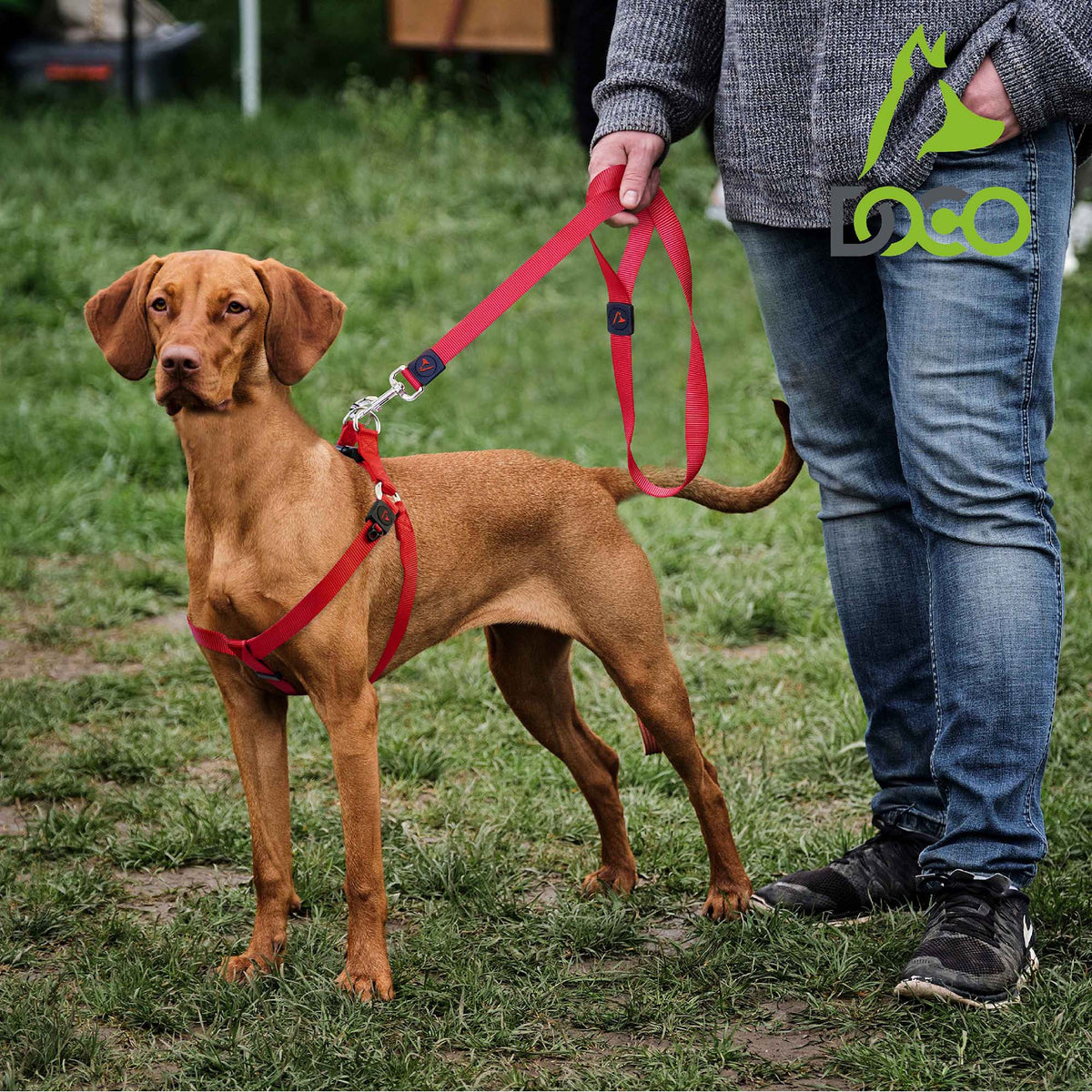 DOCO® 4ft Signature Nylon Dog Leash.