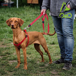 DOCO® 4ft Signature Nylon Dog Leash.