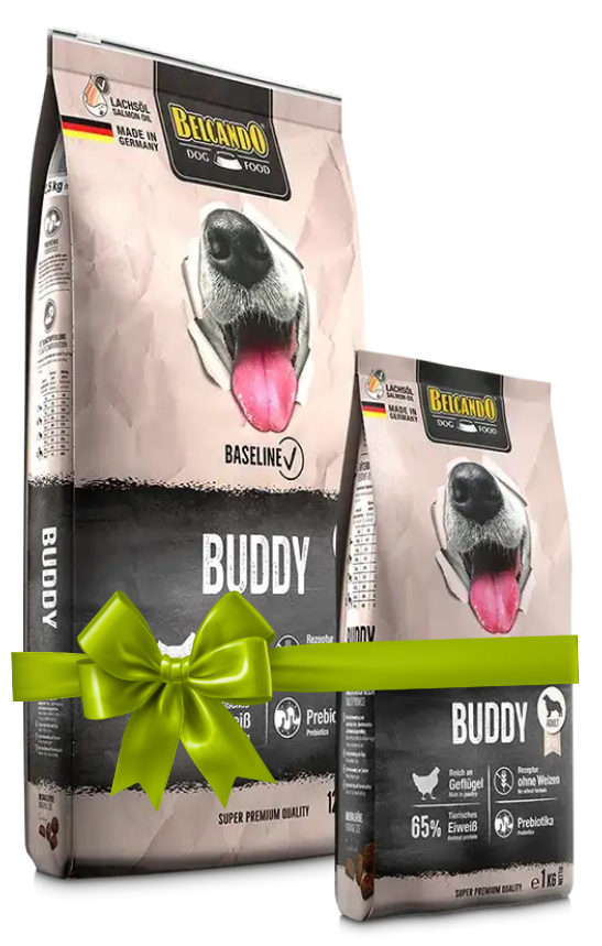 Two packages of Buddy dog food with a green ribbon on a white background