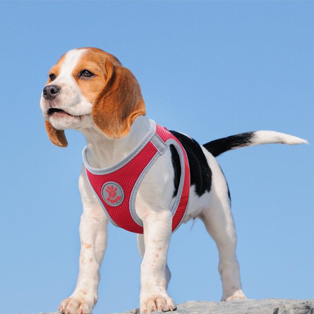 DOCO® Athletica QUICK FIT Dog Harness.