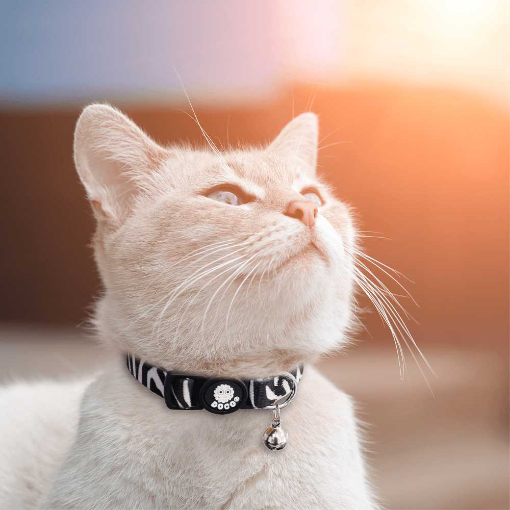 DOCO® LOCO Cat Collar - Printed Pattern.