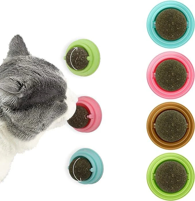 Cat playing with colorful pet toys on a white background