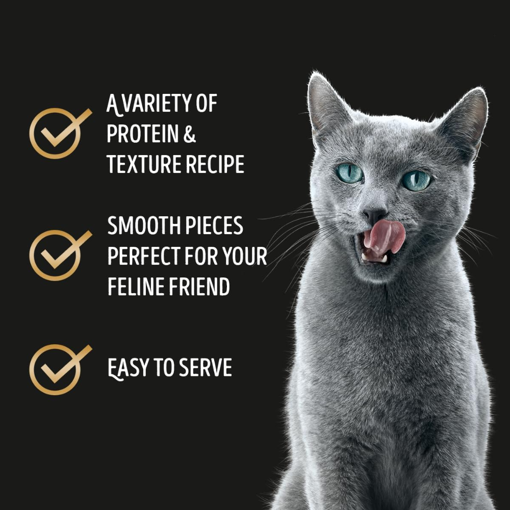 Gray cat with text about protein and texture recipe on a black background