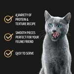 Gray cat with text about protein and texture recipe on a black background
