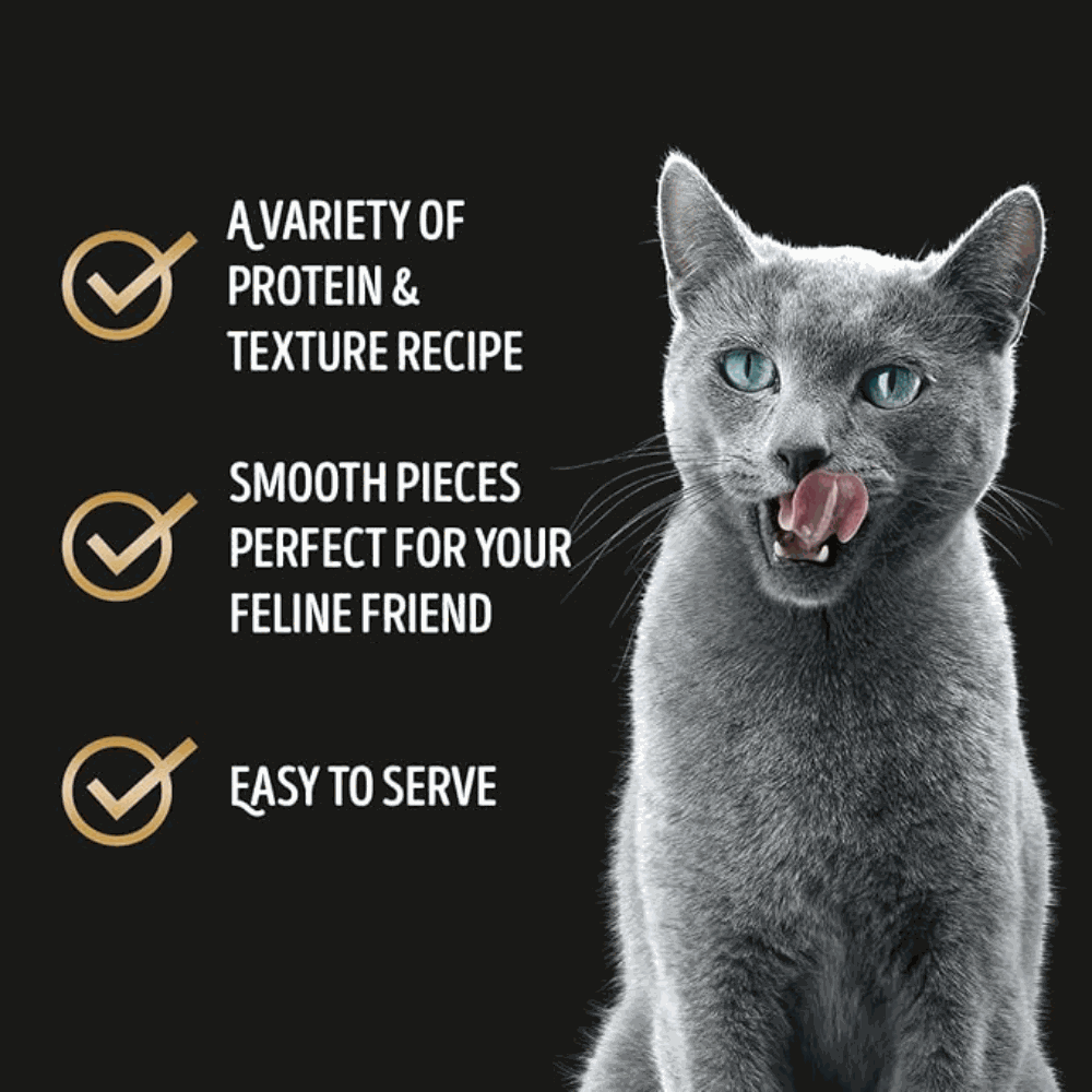 Gray cat with text about protein and texture recipe on a black background