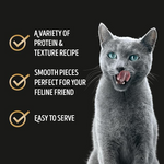 Gray cat with text about protein and texture recipe on a black background