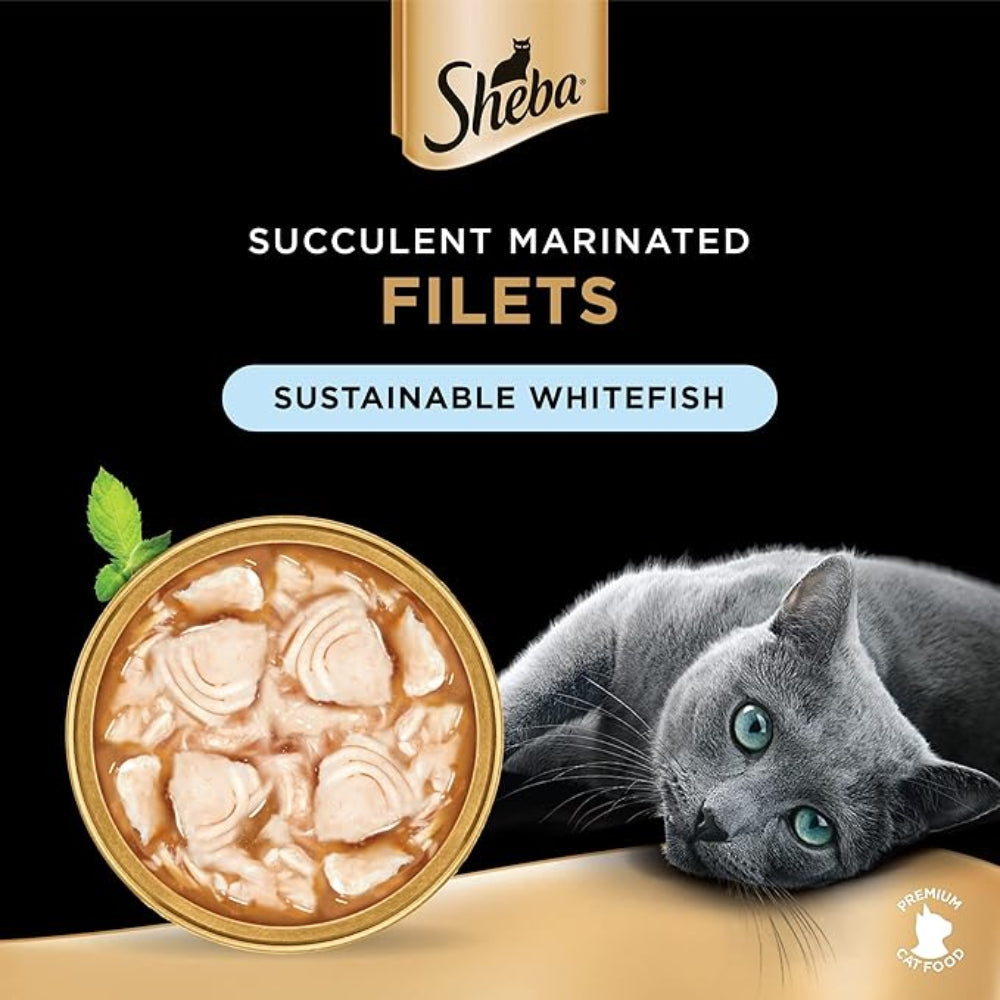 Sheba cat food packaging with a cat and whitefish filets on a black background