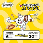 Dreamies cat food packaging with cartoon cat and feeding instructions on a yellow background