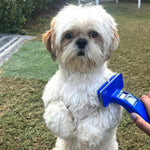 Nunbell Pet Slick Brush Petfast.shop Nunbell Brushes Combs and Clippers Cat Dog Supplies petfast.shop EgyptLarge 210.00