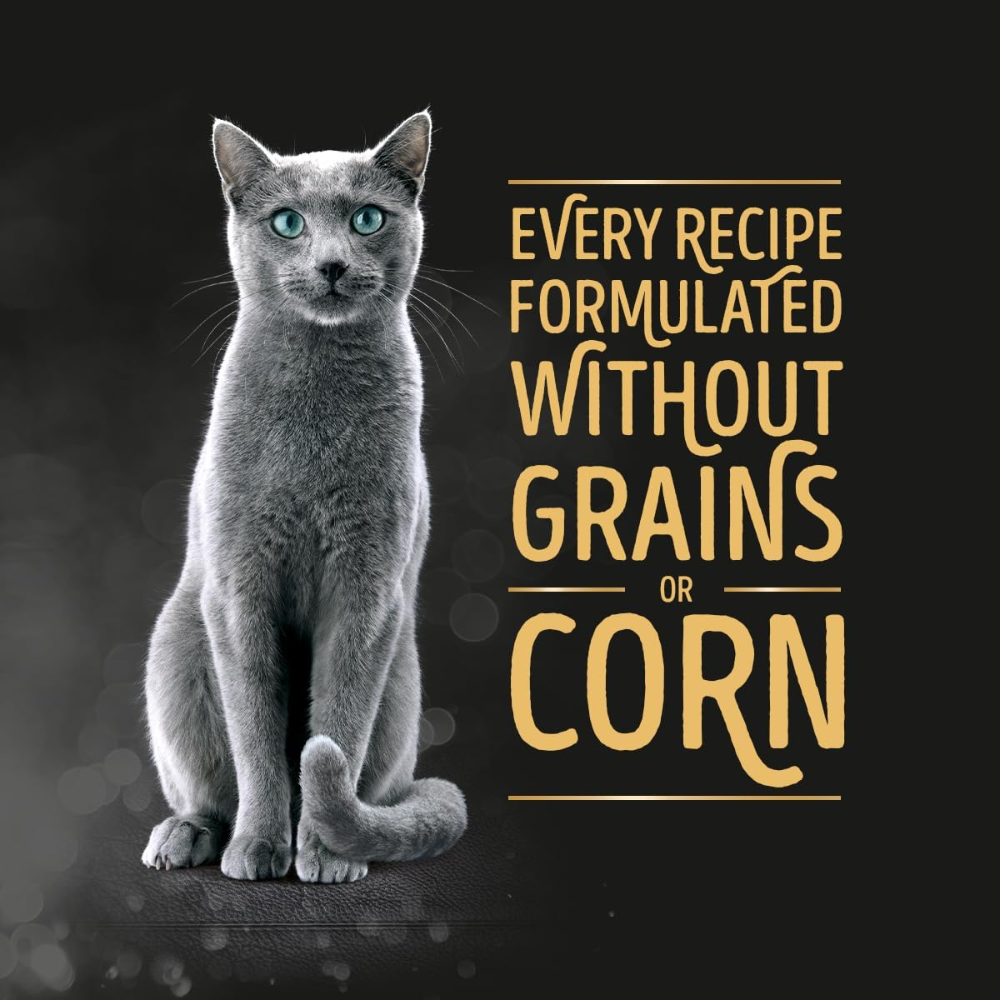 Gray cat with text about grain-free pet food on a dark background