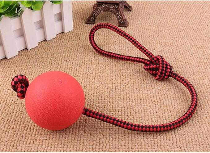 PawZilla Ball Toy With Rope.