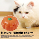 Cat playing with a pumpkin-shaped catnip toy on a wooden surface
