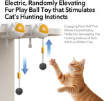 Automatic Lifting Cat Teaser Ball.