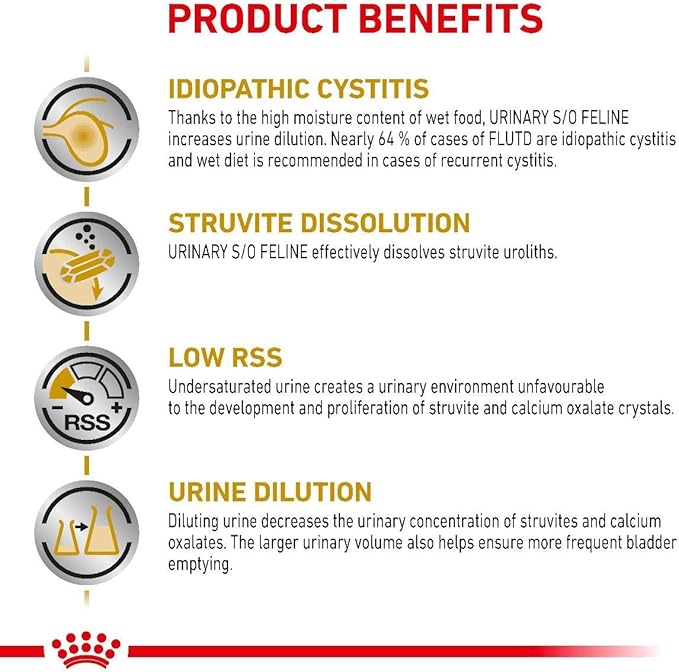 Royal Canin Wet Food Urinary S/O in Gravy Pouch 85 g