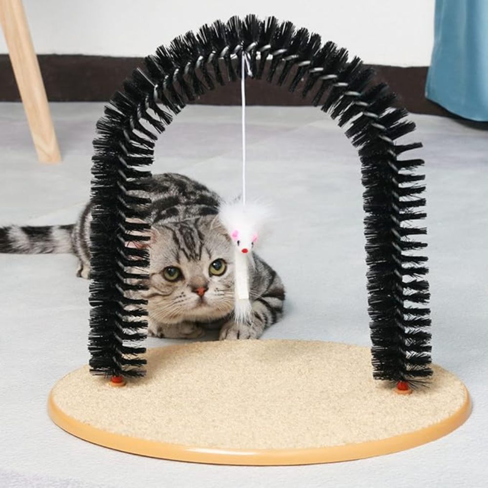 Cat playing with a black arch-shaped cat toy on a light gray surface.