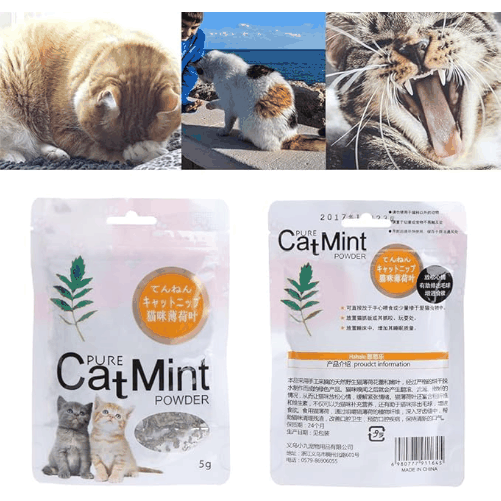 Pure Cat Mint Powder 5g