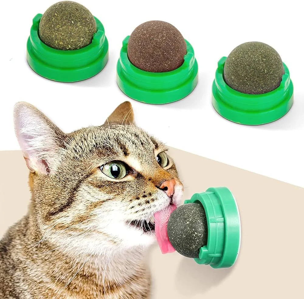 Catnip Toy For Cats