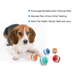 Dog with colorful chew toys on a white background