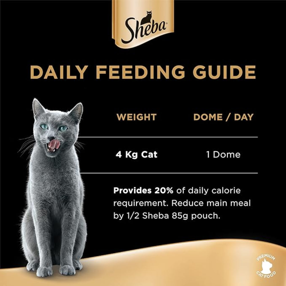 Sheba daily feeding guide for a 4 kg cat with a gray cat illustration.