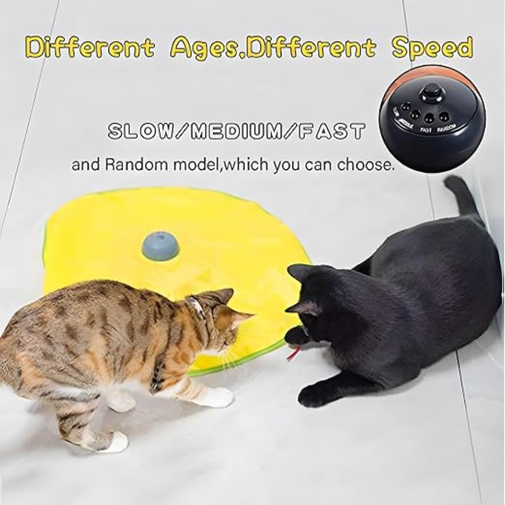 Cat Chase Interactive Toy Petfast.shop Generic Cat Supplies Toys petfast.shop EgyptDefault Title 599.00