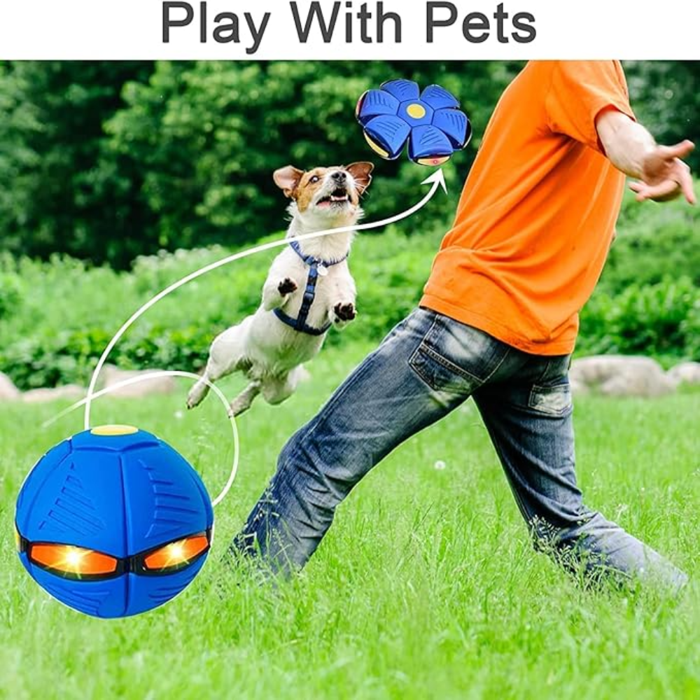 Person playing with a dog using a blue pet toy in a grassy outdoor setting