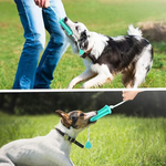 Two images of dogs playing with a green and blue dog toy outdoors.