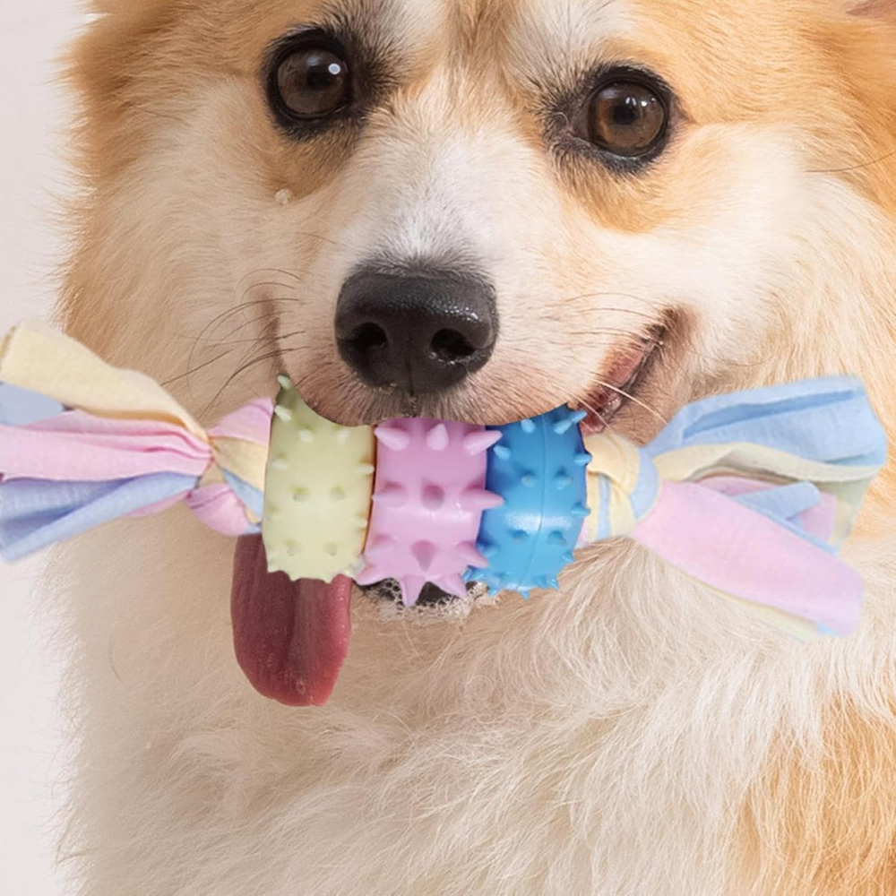 Pastel Chew Toy For Dogs Petfast.shop Generic Dog Exclusive Supplies Toys petfast.shop EgyptDefault Title 180.00