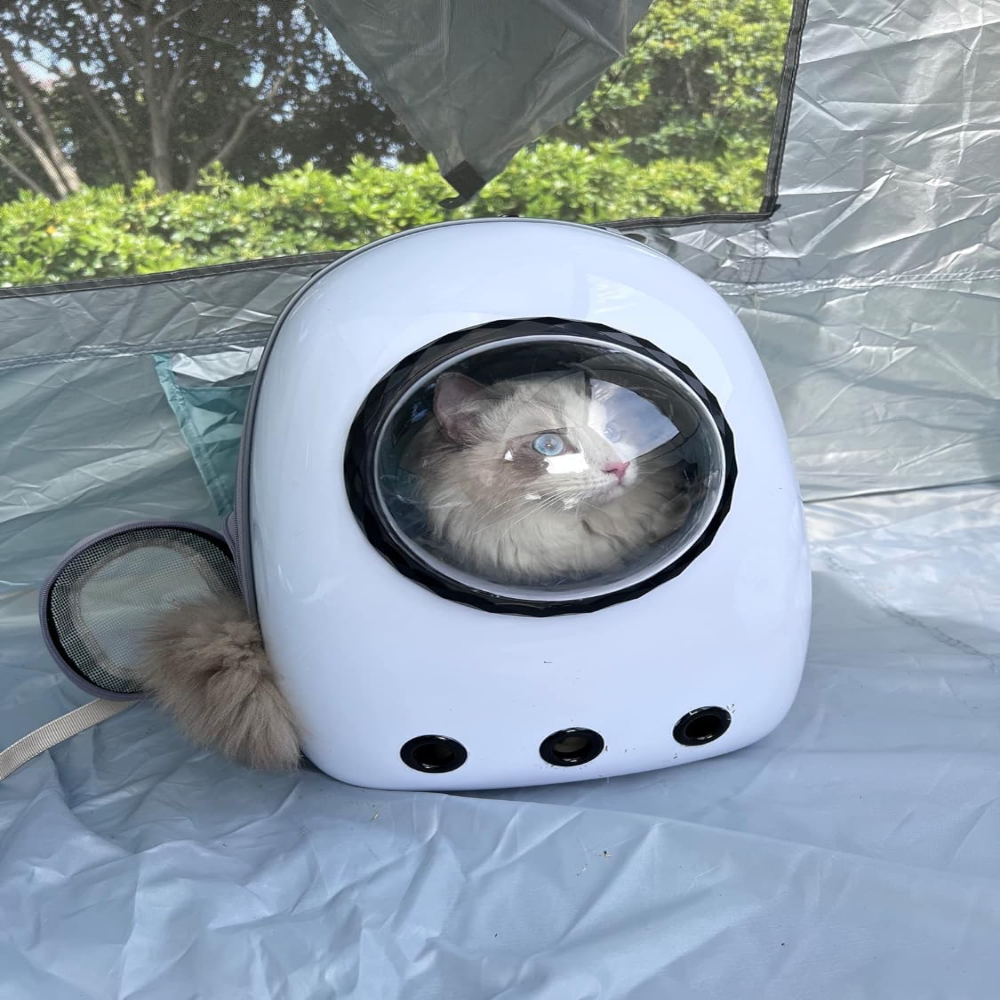 Pet Carrier Backpack White Size 42*30*25 Cm Petfast.shop Generic Carriers & Travel Accessories Cat Dog Supplies petfast.shop Egypt PPE6055S Default Title 960.00