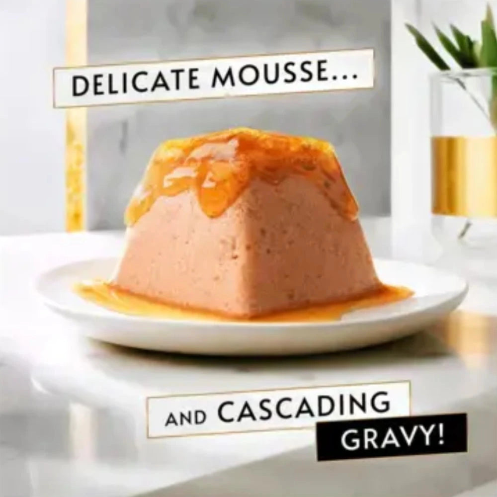 Delicate mousse with cascading gravy on a white plate with a marble background.