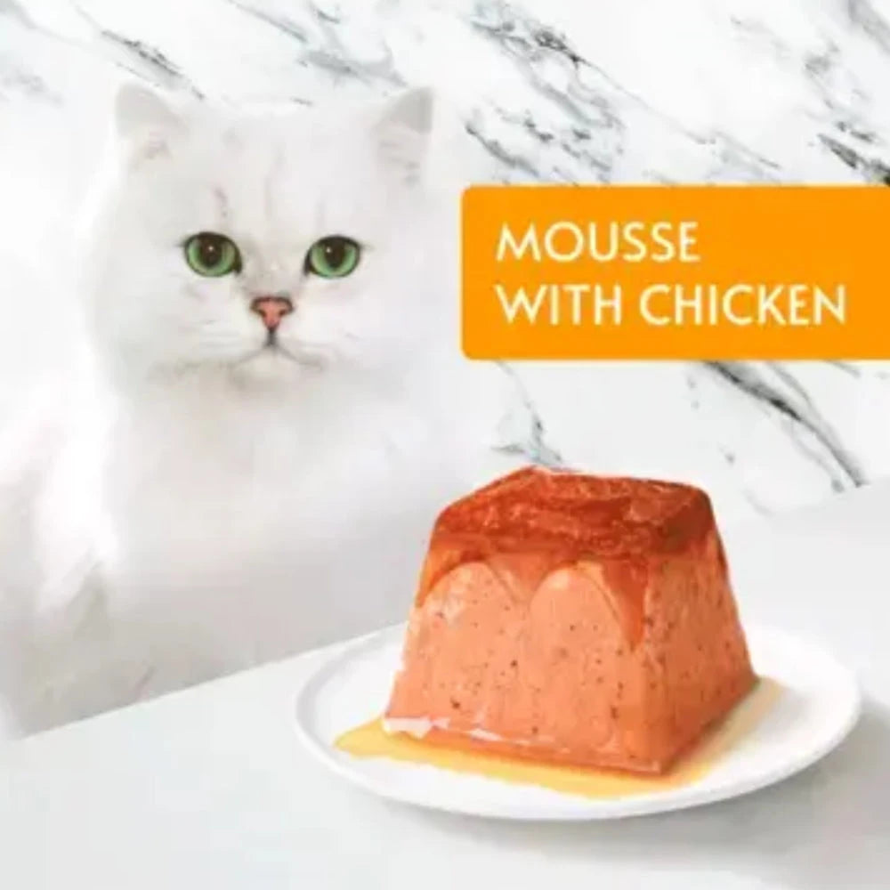 Cat mousse with chicken on a plate in front of a white cat, against a marble background.